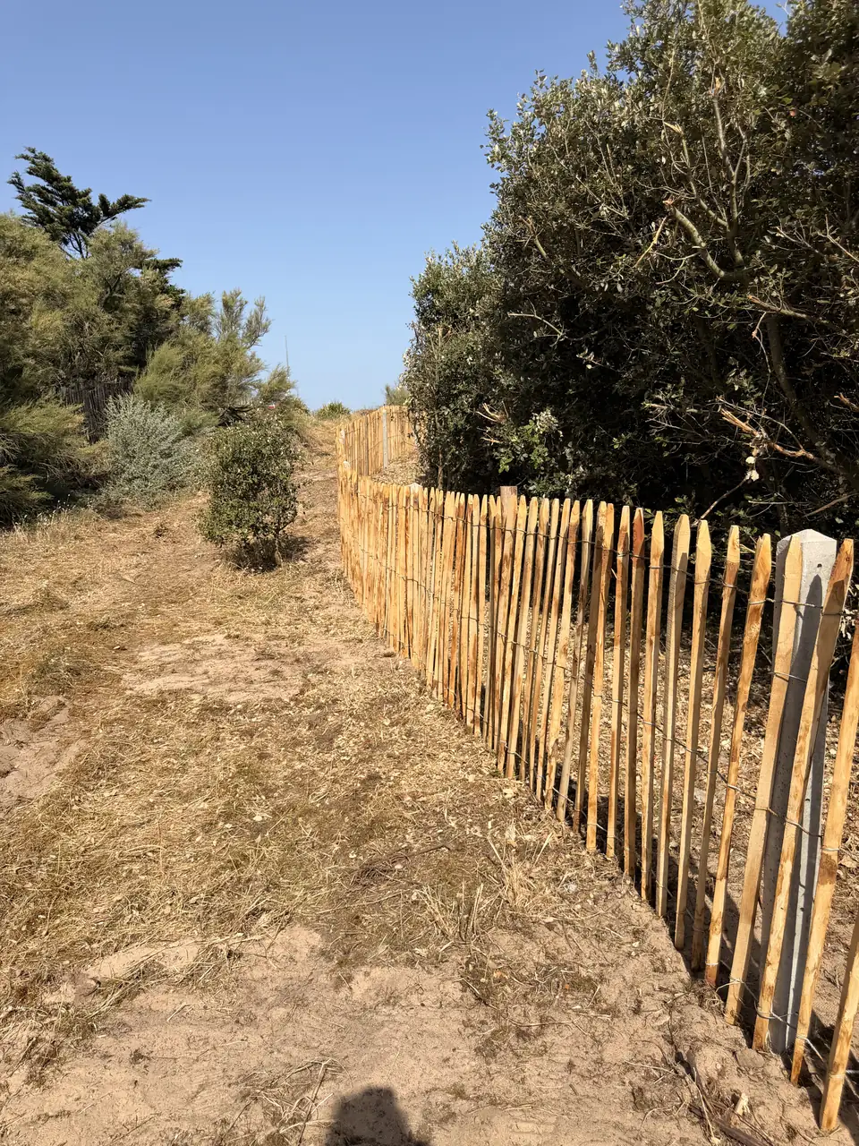 Chantier à Saint-Georges-d&rsquo;Oléron — ganivelle et enduits